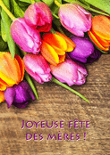 Tulipes roses pour célébrer maman